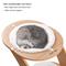 Show in main carousel: beeNbkks Modern Furniture Style Cat Tree & Condo, White slide 4 of 8