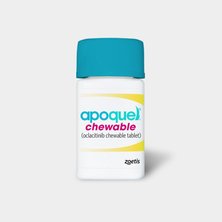 Allergy Relief for Dogs