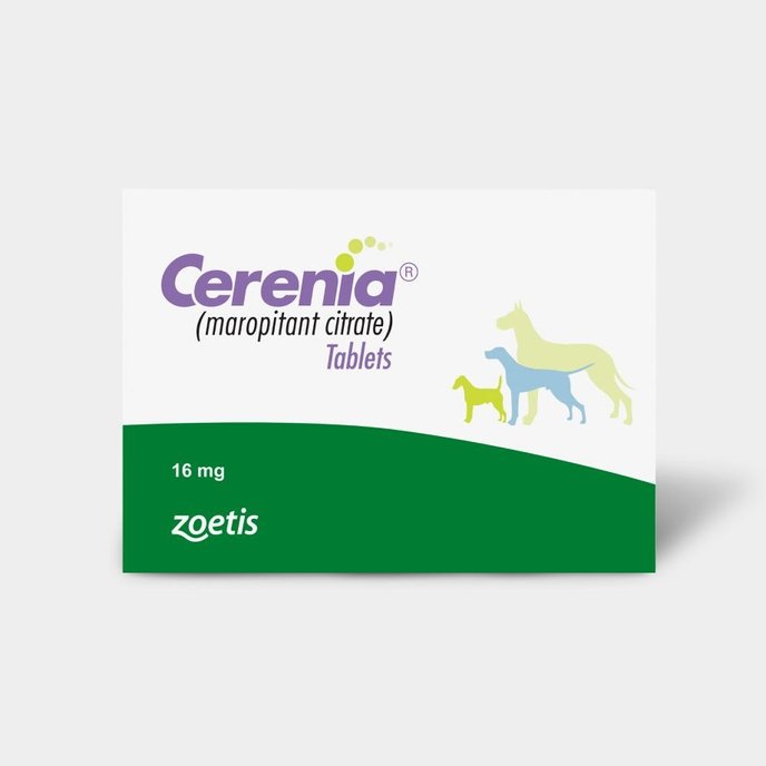 Anxiety & Calming medications for dogs