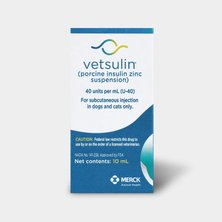 Diabetic care & insulin for cats