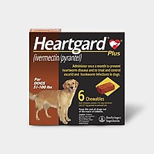 Heartworm prevention for dogs