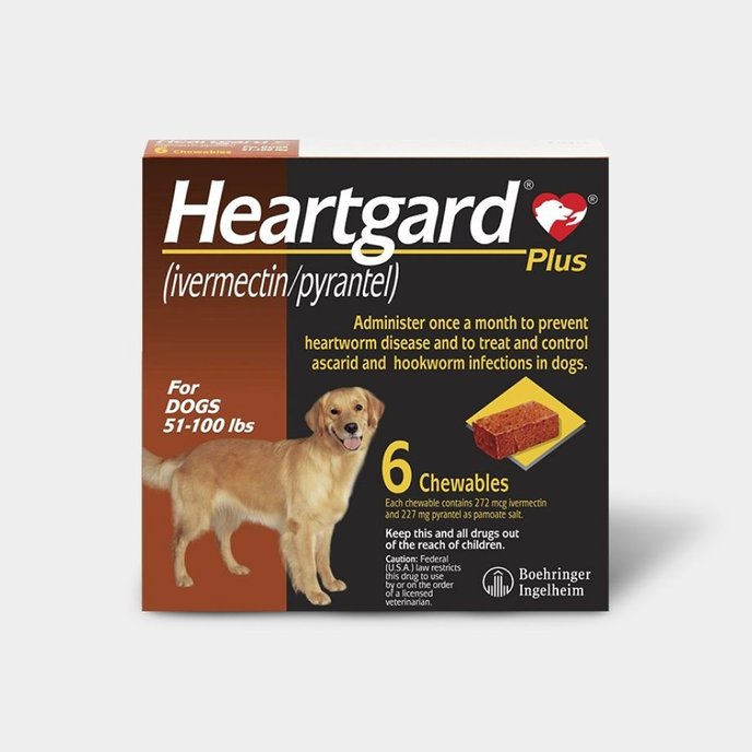 Heartworm prevention for dogs