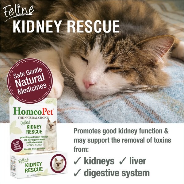 HomeoPet Feline Kidney Rescue LiquidSupplement for Cats, 15-mL