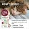 Show in main carousel: HomeoPet Feline Kidney Rescue Liquid Supplement for Cats, 15-mL slide 3 of 8