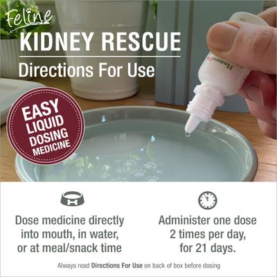 Show full view: HomeoPet Feline Kidney Rescue Liquid Supplement for Cats, 15-mL slide 6 of 8