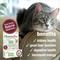 Show in main carousel: HomeoPet Feline Kidney Rescue Liquid Supplement for Cats, 15-mL slide 4 of 8