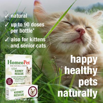 Show full view: HomeoPet Feline Kidney Rescue Liquid Supplement for Cats, 15-mL slide 5 of 8