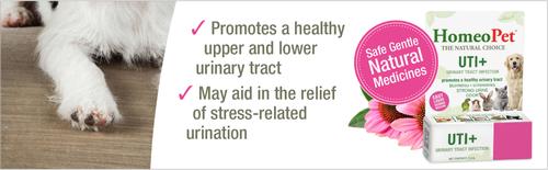 Show full view: HomeoPet UTI+ Liquid Urinary Supplement for Dogs, 15-mL bottle slide 10 of 10