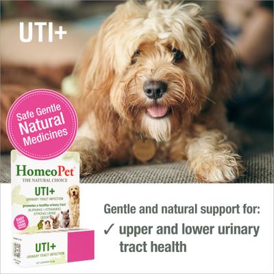 Show full view: HomeoPet UTI+ Liquid Urinary Supplement for Dogs, 15-mL bottle slide 3 of 10