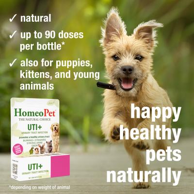 Show full view: HomeoPet UTI+ Liquid Urinary Supplement for Dogs, 15-mL bottle slide 5 of 10