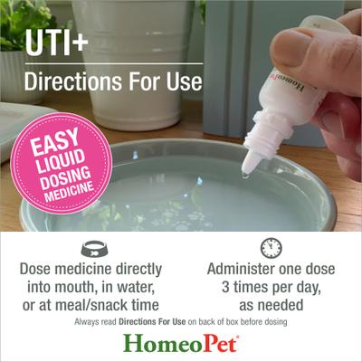 Show full view: HomeoPet UTI+ Liquid Urinary Supplement for Dogs, 15-mL bottle slide 6 of 10