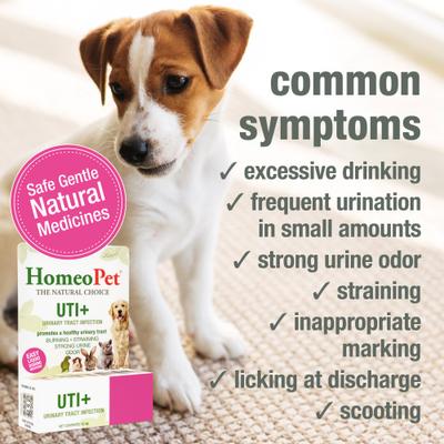 Show full view: HomeoPet UTI+ Liquid Urinary Supplement for Dogs, 15-mL bottle slide 4 of 10