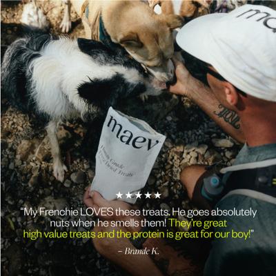 Show full view: MAEV Human-Grade Beef Liver Freeze-Dried Raw Dog Treats, 4.4-oz bag slide 4 of 9