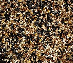 Volkman Winners Cup 15% Decarlo Mix Pigeon Bird Food, 50-Ib bag slide 2 of 3