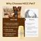 Show in main carousel: HICC PET Nose Balm for Dogs & Cats, 0.53-oz slide 6 of 10
