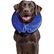Show in main carousel: KONG Cloud Collar for Dogs & Cats, Large slide 1 of 9