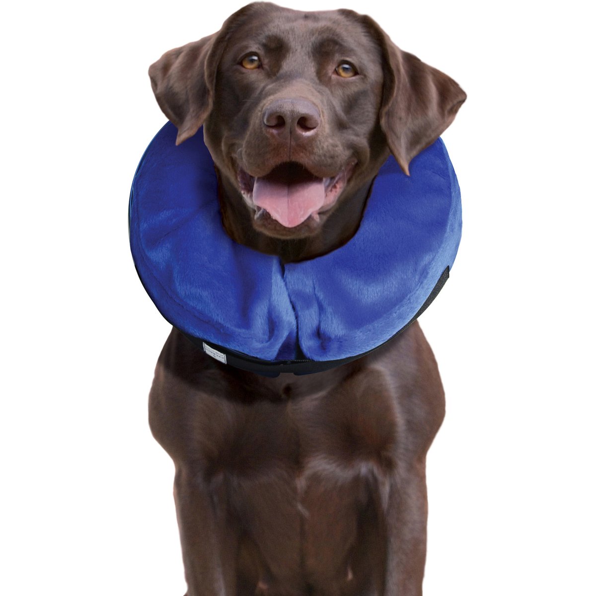 KONG Cloud Collar for Dogs & Cats, Large
