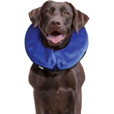 KONG KONG Cloud Collar for Dogs & Cats, Large