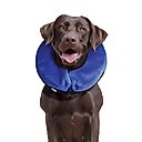 KONG Cloud Collar for Dogs & Cats, Medium