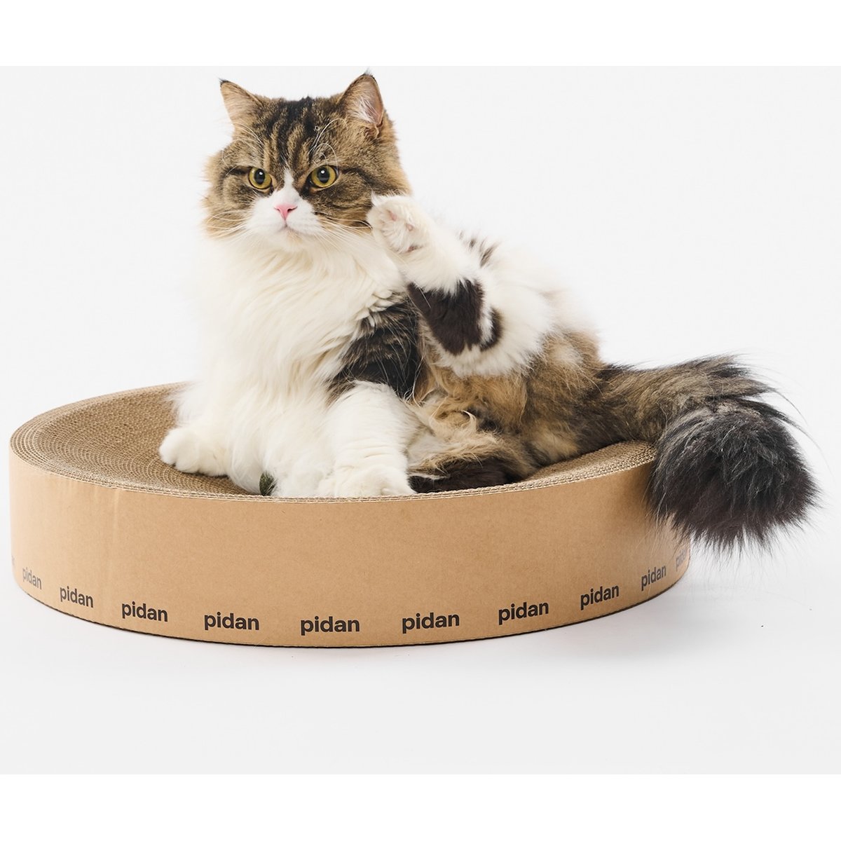 Pidan Round Cat Scratch Lounger, Brown