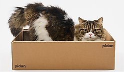 Pidan Box Cat Scratcher & Lounge, Brown