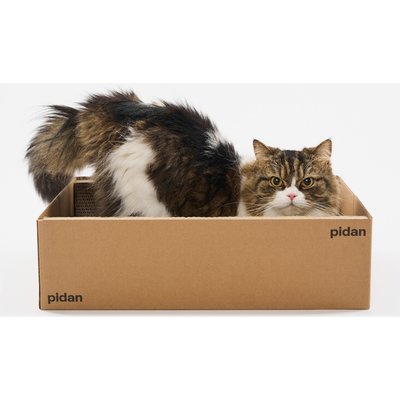 Pidan Pidan Box Cat Scratcher & Lounge, Brown