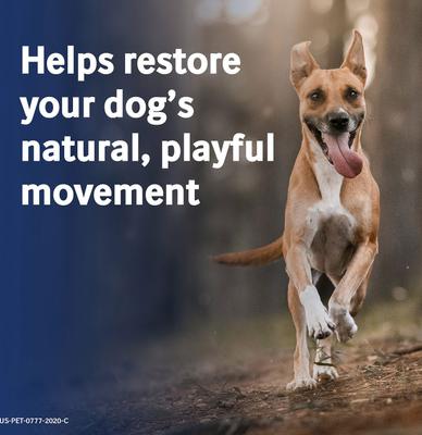 Show full view: Previcox (Firocoxib) Chewable Tablets for Dogs, 227-mg, 1 tablet slide 6 of 11