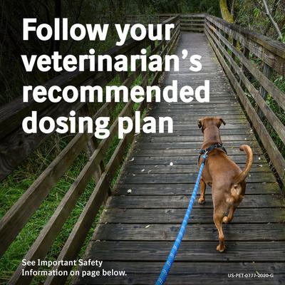 Show full view: Previcox (Firocoxib) Chewable Tablets for Dogs, 227-mg, 1 tablet slide 9 of 11