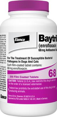 Show full view: Baytril (Enrofloxacin) Tablets for Dogs & Cats, 68.0-mg, 1 tablet slide 3 of 8