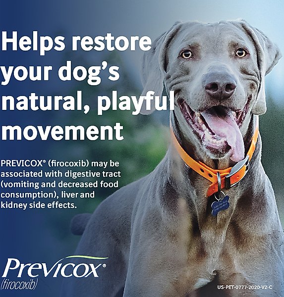 Show full view: Previcox (Firocoxib) Chewable Tablets for Dogs, 15 tablets, 227-mg slide 5 of 11