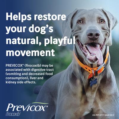 Show full view: Previcox (Firocoxib) Chewable Tablets for Dogs, 15 tablets, 227-mg slide 5 of 11