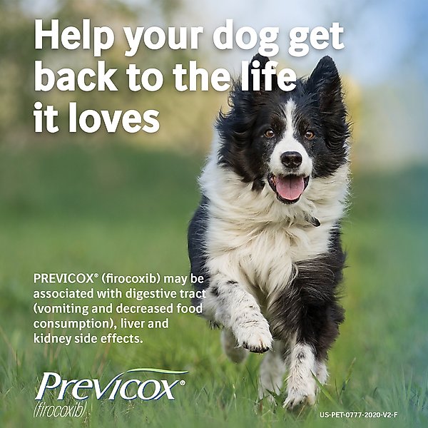 Show full view: Previcox (Firocoxib) Chewable Tablets for Dogs, 15 tablets, 227-mg slide 9 of 11