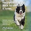 Show in main carousel: Previcox (Firocoxib) Chewable Tablets for Dogs, 15 tablets, 227-mg slide 9 of 11