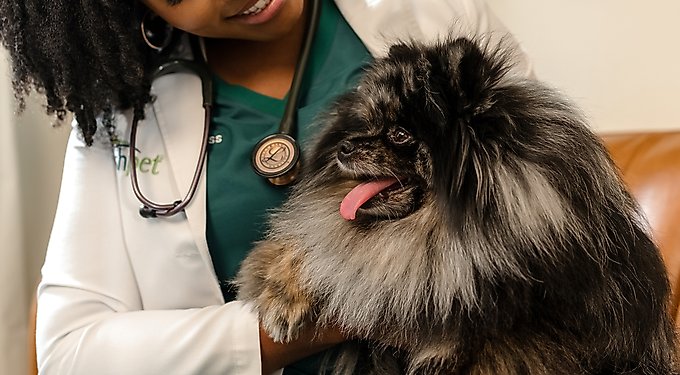 Freshpet Vital Beef & Lamb Grain-Free Fresh Dog Food