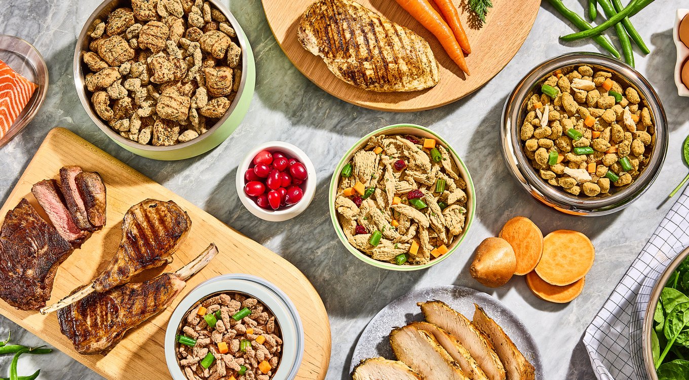Freshpet Vital Shredded Chicken Recipe with Sweet Potatoes & Carrots Fresh Dog Food