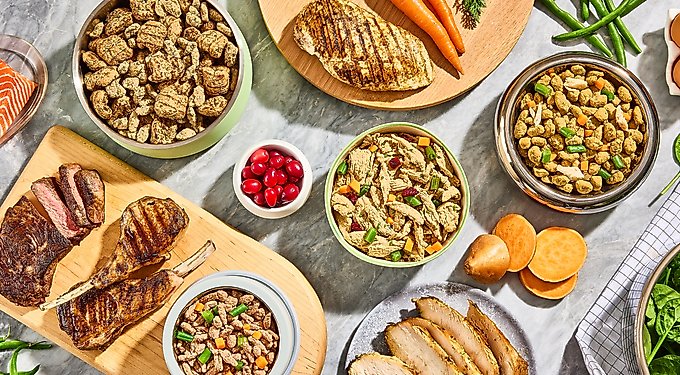 Freshpet Vital Beef & Lamb Grain-Free Fresh Dog Food