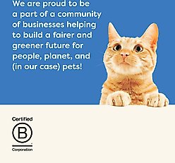 Applaws Senior Tuna Fillet, Salmon, & Pumpkin Recipe Grain-Free Mousse Wet Cat Food, 2.47-oz pouch, case of 12 slide 2 of 7