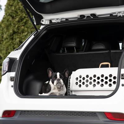 Show full view: SportPet Designs Dog & Cat Travel Kennel, Cream & Gold, 26-in slide 7 of 9