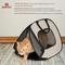 Show in main carousel: SportPet Designs Pop-Open Soft-Sided Cat Carrier, Tan, 20-in slide 3 of 9