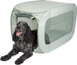 SportPet Designs Soft Sided Pop-Open Crate Dog Kennel, Light Green, 19.5-in
