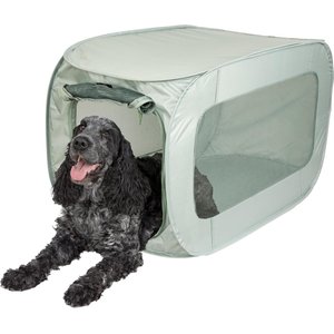 MidWest iCrate Fold & Carry Single Door Collapsible Wire Dog Crate
