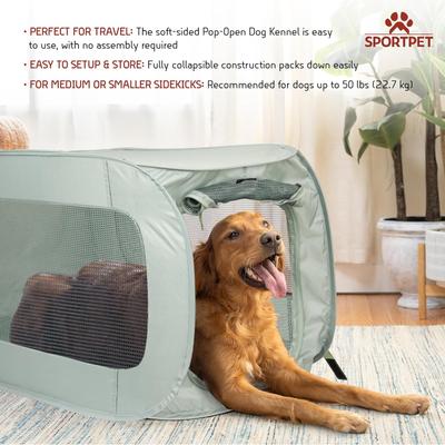 Show full view: SportPet Designs Soft Sided Pop-Open Crate Dog Kennel, Light Green, 19.5-in slide 3 of 7