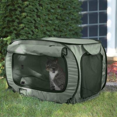 Show full view: SportPet Designs Soft Sided Pop-Open Crate Dog Kennel, Green, 31.8-in slide 5 of 8