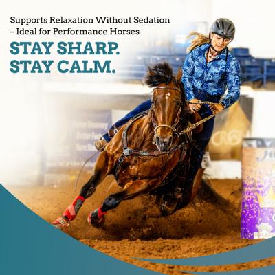 Show full view: SynNutra SynChill Pure Horse Supplement, 10-gm syringe, 12 count slide 3 of 5