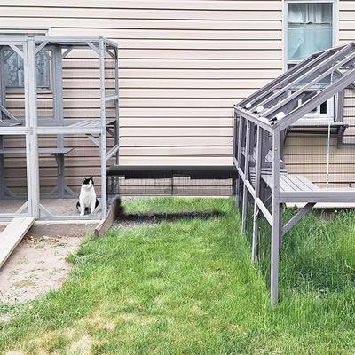 Show full view: Aivituvin Durable Cat Tunnel with Waterproof Fabric, Black, Medium slide 7 of 8