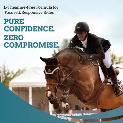 Show full view: SynNutra SynChill Pure Horse Supplement, 10-gm syringe, 12 count slide 2 of 5