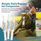 Show in main carousel: SynNutra SynChill Pure Horse Supplement, 10-gm syringe slide 4 of 6