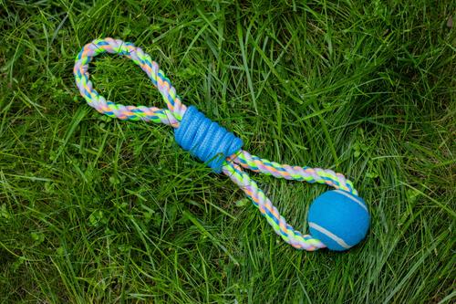 Show full view: Tugzelle Ropey Duo Dog Toy slide 7 of 9