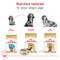 Show in main carousel: Royal Canin Breed Health Nutrition Dachshund Puppy Dry Dog Food, 2.5-lb bag slide 7 of 11