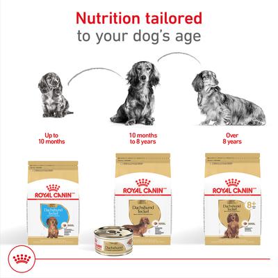 Show full view: Royal Canin Breed Health Nutrition Dachshund Puppy Dry Dog Food, 2.5-lb bag slide 7 of 11
